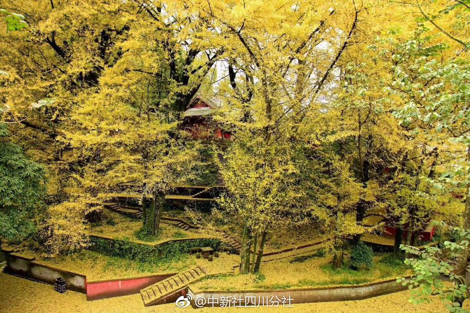 在岸人{民}币对美元开盘下跌 报7.1812