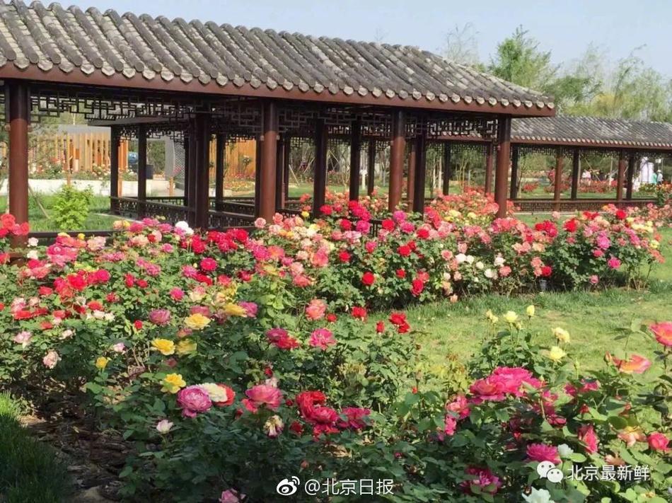 商汤-w(更新)：业绩‘增’长亏损{缩}窄，全年一致预期营收47.63~50.65亿元，同比增长26.3%~34.3%