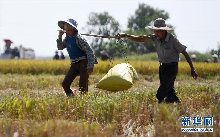 京东:第一辆“国民好车”价格公布！最低仅4.99万元：500公里超长续航