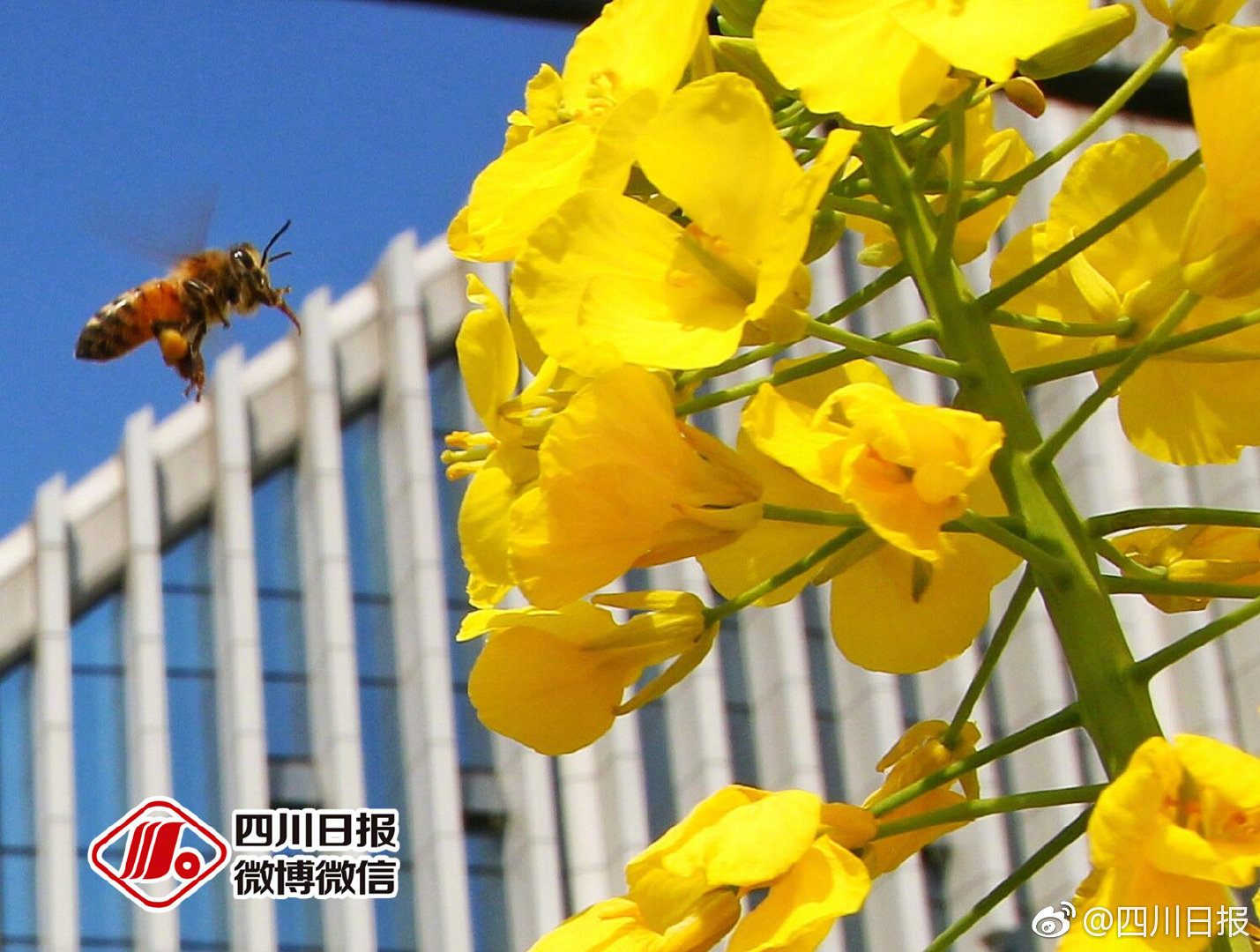 46%年轻人愿为“清洁自由”买单，华帝以“好清洁”战略圈粉新世代