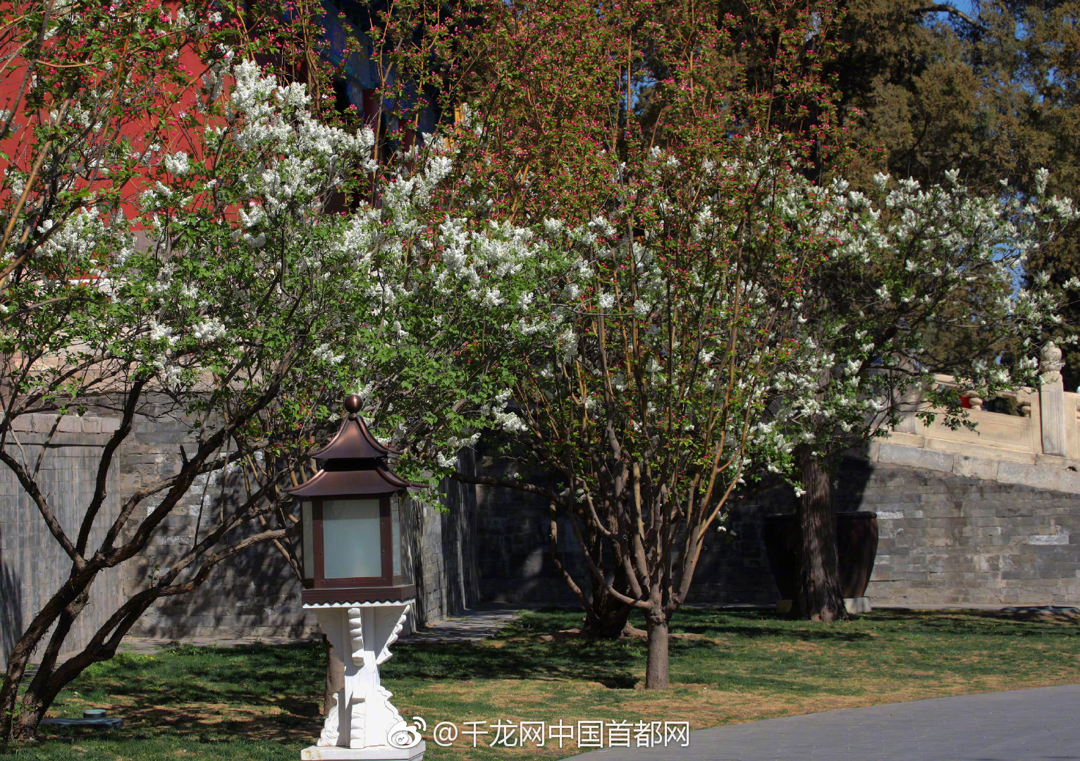 上半‘年’车企业绩!分化加剧 下半年能否迎来增量机遇？