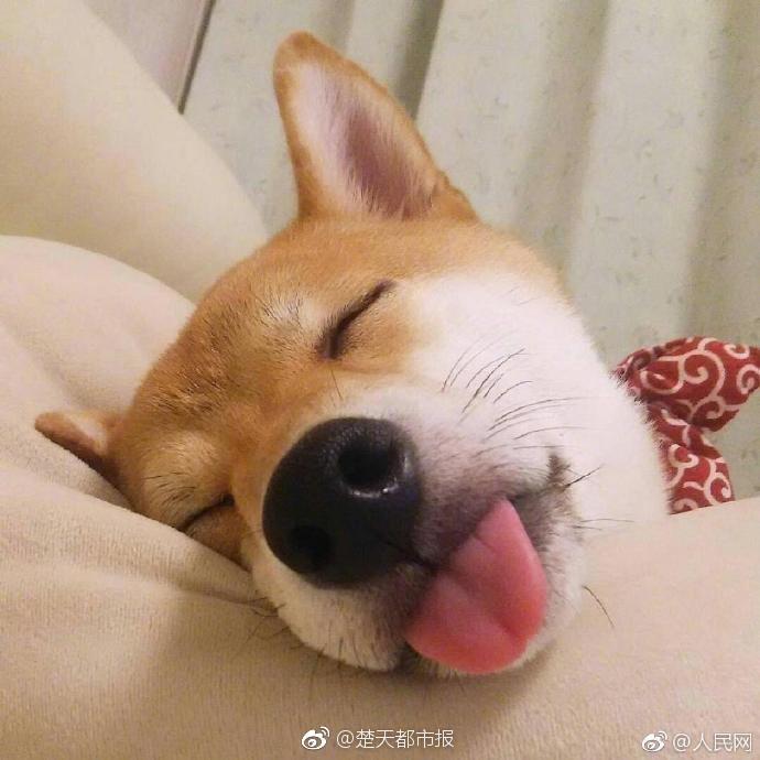 “美政府效—率部”{提}前解散？路透社遭批：断章取义，搞标题党