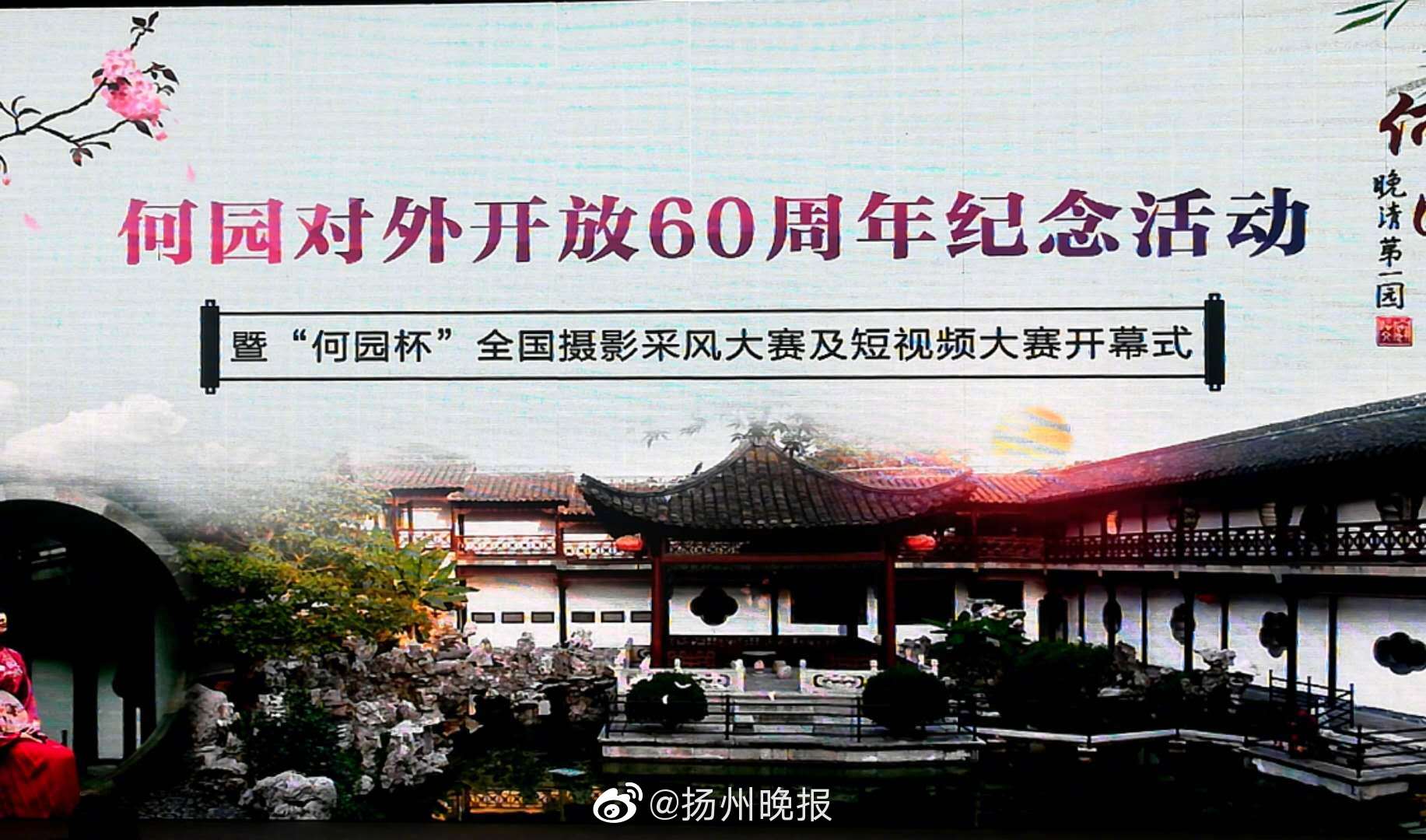 龙餐馆里的情感细节越看越戳人