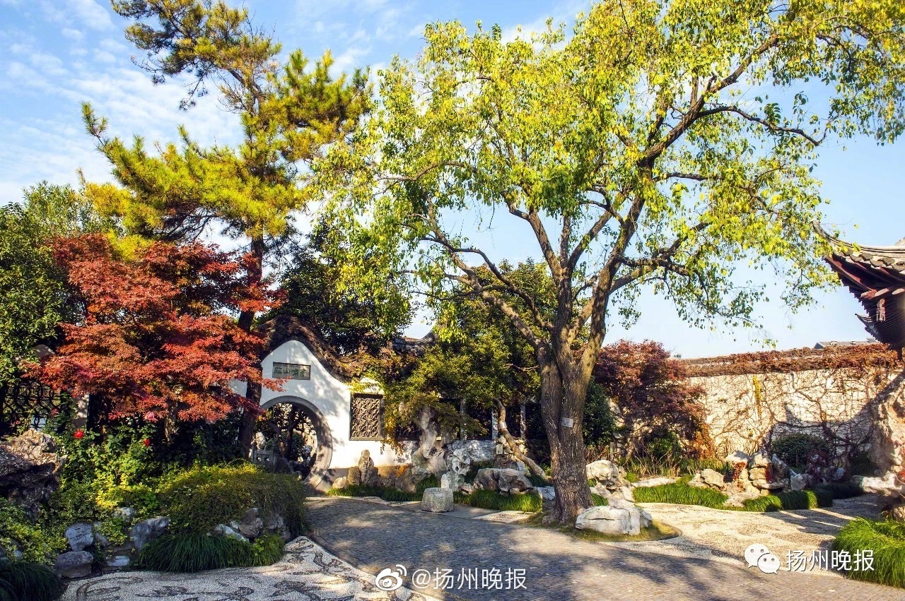 网传字节跳动计划出售沐瞳，官方暂无回应