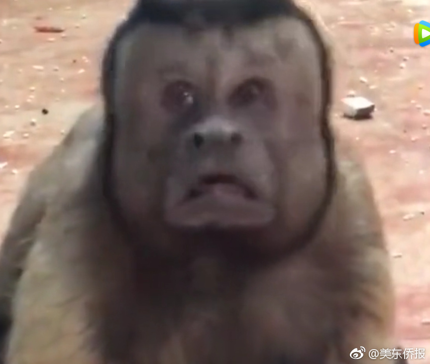 碳?酸;锂上演“过山车”行情！下游企业观望情绪浓，锂矿供需博弈加剧，还能涨吗？