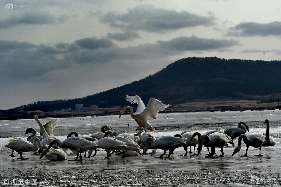 23只<创>业板股,获杠杆资金加仓超10%