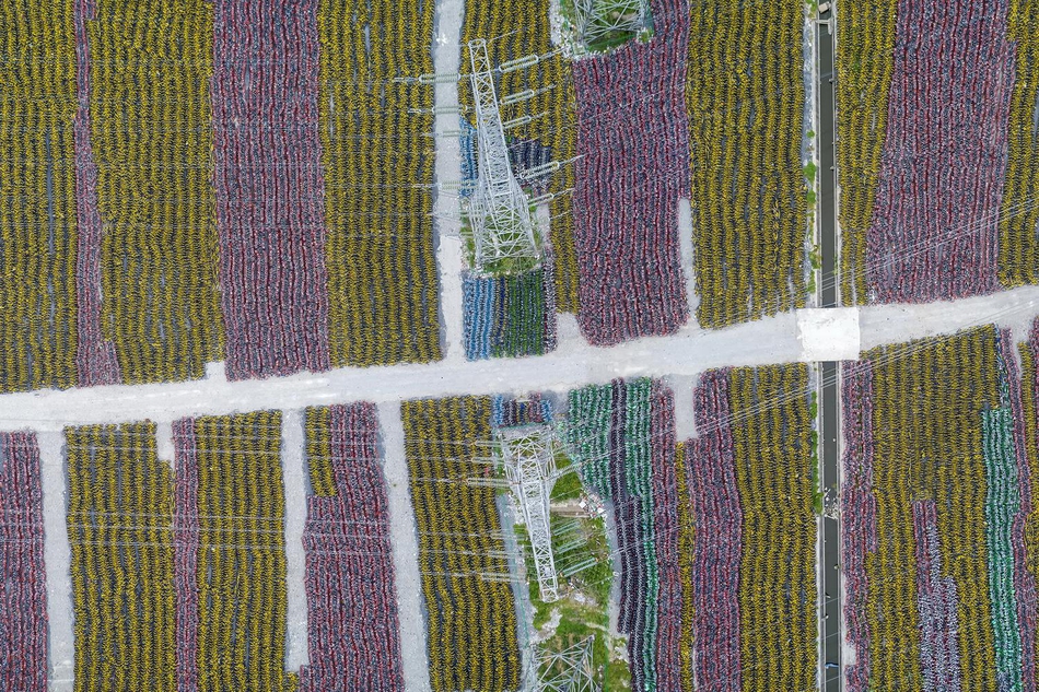 字节跳动再次否认将推出自有手机产品{，}专注开放豆包 ai 能力给各大硬件厂商