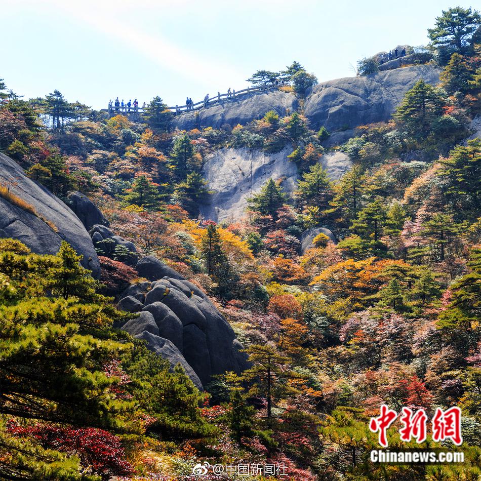 宁王的电解液赌局：两份长协 一场洗牌