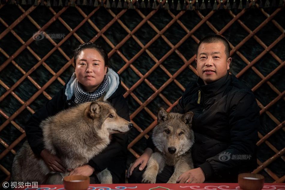 上海医药：公司对长护险未来的战略规划与业务布局，将重点聚焦于三大维度进行深化与拓展