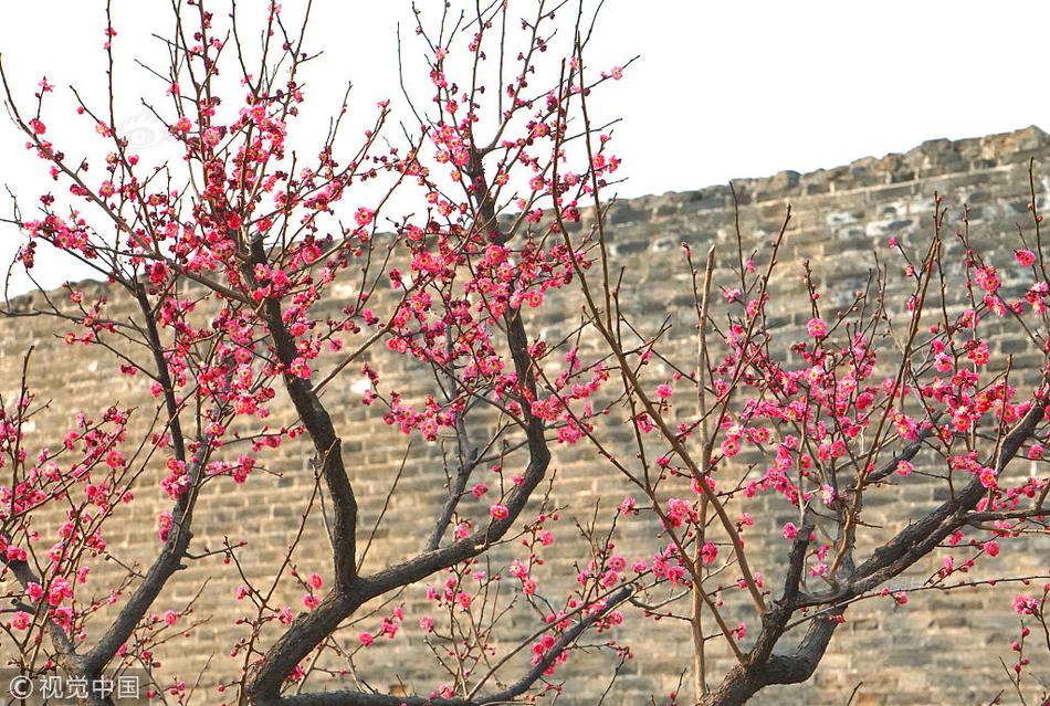 哔!哩哔哩(09626)逆市涨1.58% 自研单机游戏《逃离鸭科夫》累计销量突破50万份