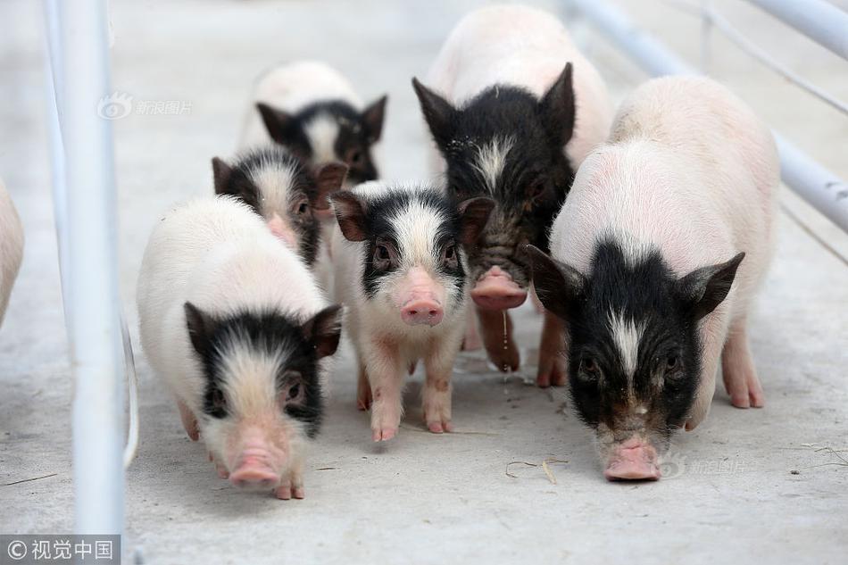 第一创业：上?半年归母净利润4.86亿元，同比增长21.41%