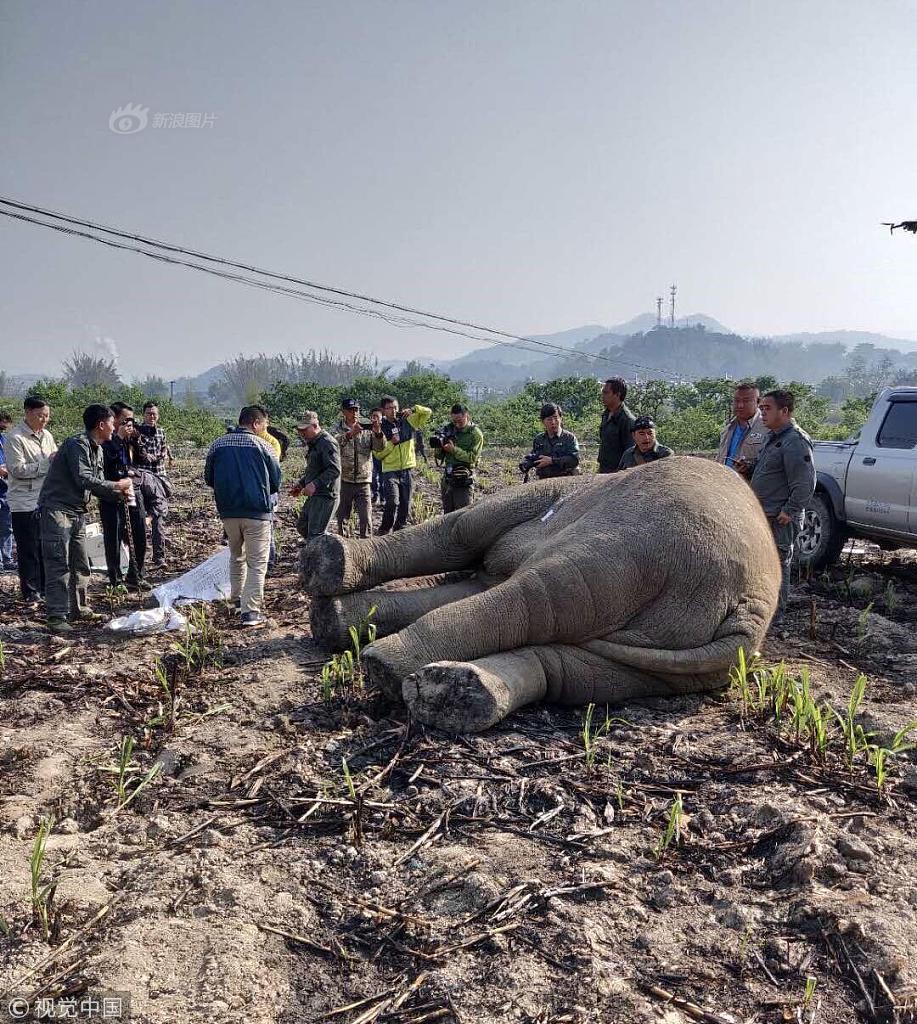 连续七年蝉联！重庆百;货获评上交所信披“a”级 新质发展“节节高”