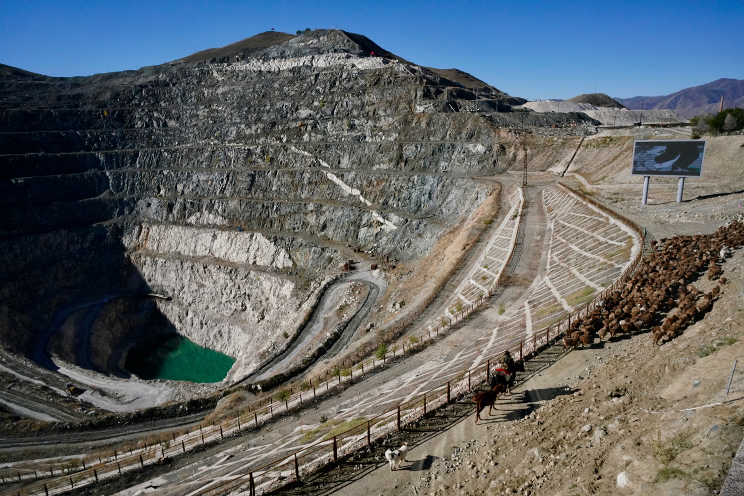 莫.让银行卡用户身处信息迷雾