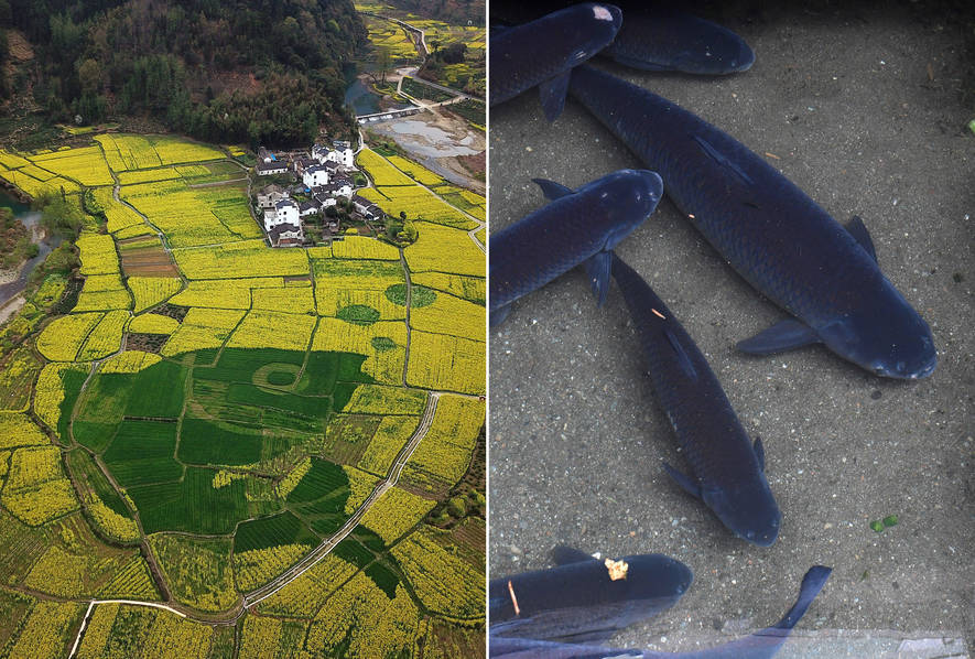 美‘国’财长贝森特预计9月关税收入将跃升