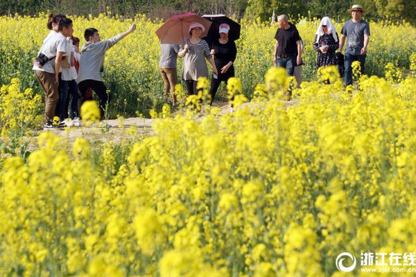 刘强东：将来不需要快递员了！70万员工怎么办？
