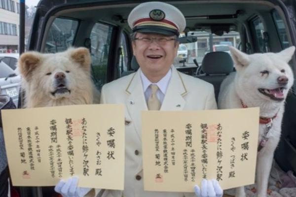16gb条突破500元，内存条涨成“理财产品”