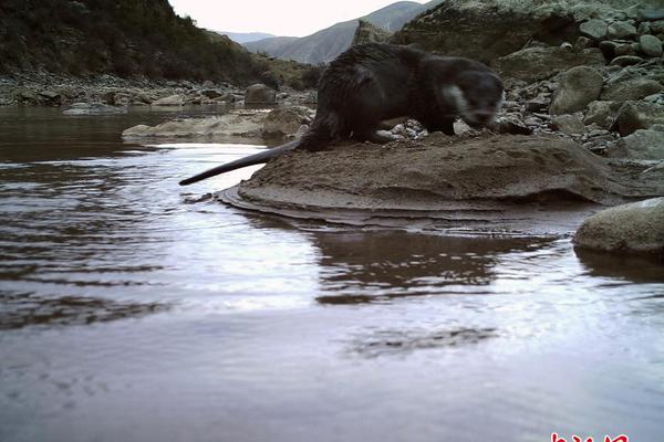 厨房“;头等大事”解决了！华帝全隐烟机告别“碰头”与“压抑”