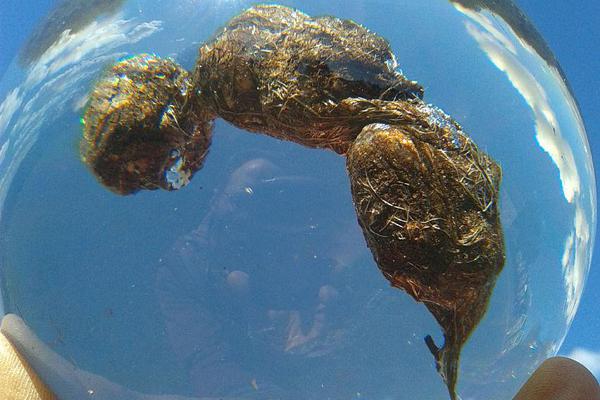 美众议!院;投票通过要求司法部公开全部爱泼斯坦案文件