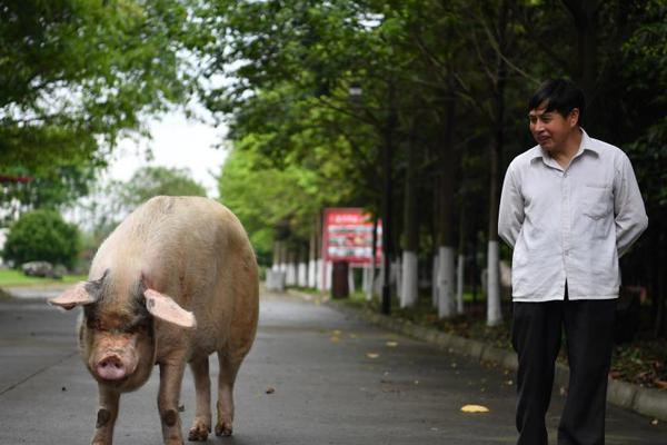 多家{券}商被罚！开户招揽不规范、推介虚假金融产品……