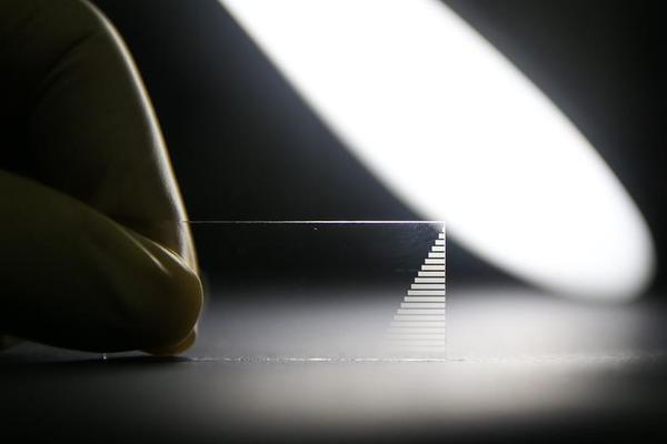 美官员称特朗普政府不寻求取得!台积电和美光等公司股权