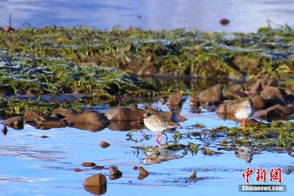 雷?军“两个大学生学费账单”：造车1050亿 芯片135亿？