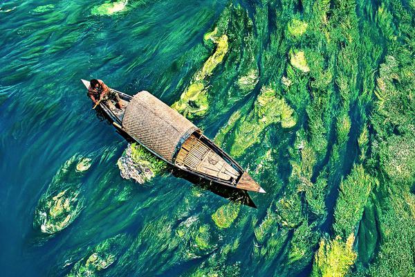 机构<看>高金价<至>三千八百美元 近期关注三大时间节点