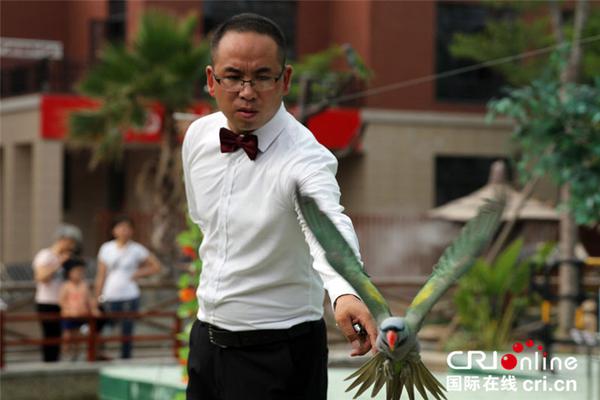 祝贺china的china