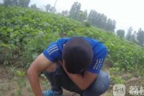 摩根大通ce?o‘态’度大转弯：戴蒙称“加密是真实的” 华尔街全面拥抱区块链