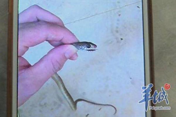 天—智航：提名李东方先生为公司第六届董事会非独立董事候选人