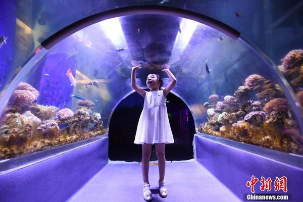 每日.投;行/机构观点梳理（2025-09-26）