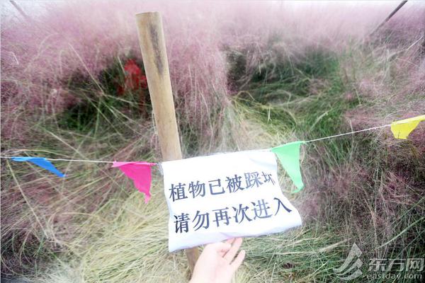 32.只etf单日暴涨超5%！买基金那款软件能看净值？业内人士力荐新浪财经等5款app，轻松捕捉投资红利！