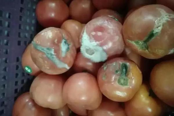 欧?洲?央行纪要显示通胀上行风险导致9月会议决定不降息