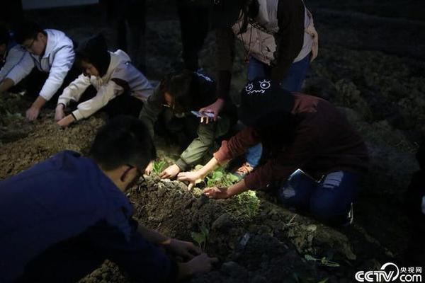 报道：荷兰监管当局要求特斯拉车门断电也能开启