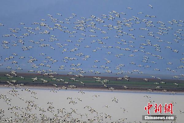 中深建业：认购价更改为每股0.61港元 7月3日下午1时正起复牌