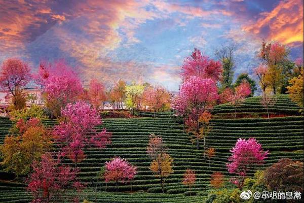 华为折叠?屏,手机累计发货超千万台 折叠屏概念多股涨停