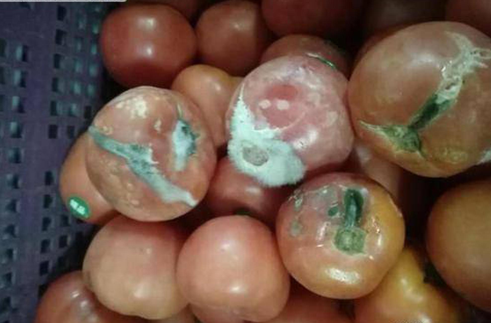 工行获评中国最佳大型企业银行