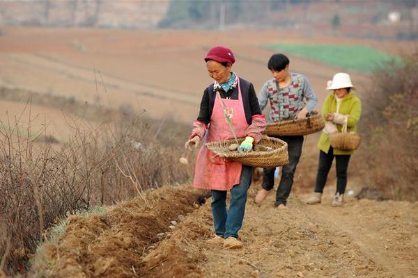美联储官员鲍曼:监管机构必须考虑如何应对如mythos这类技术