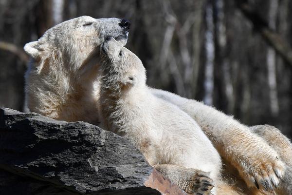 直播间{购}“地王卡”到货“缩水” 说好的1000分钟通话哪去了