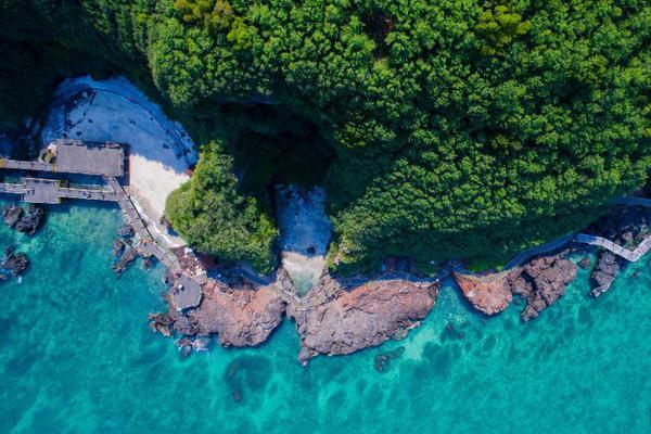 莫;迪缺席峰会，因担忧特朗普提!及巴基斯坦