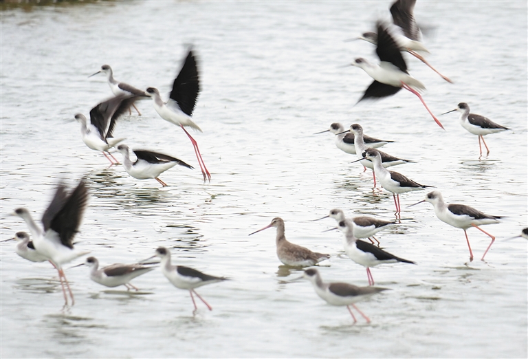事—关脑.机接口，七部门发布重要文件