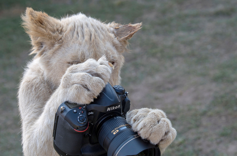 长风药业-b，‘通’过港交所聆讯，—或很快香港上市，中信证券、招银国际联席保荐