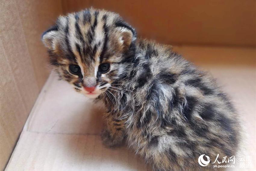 见证，;三航母!时代！