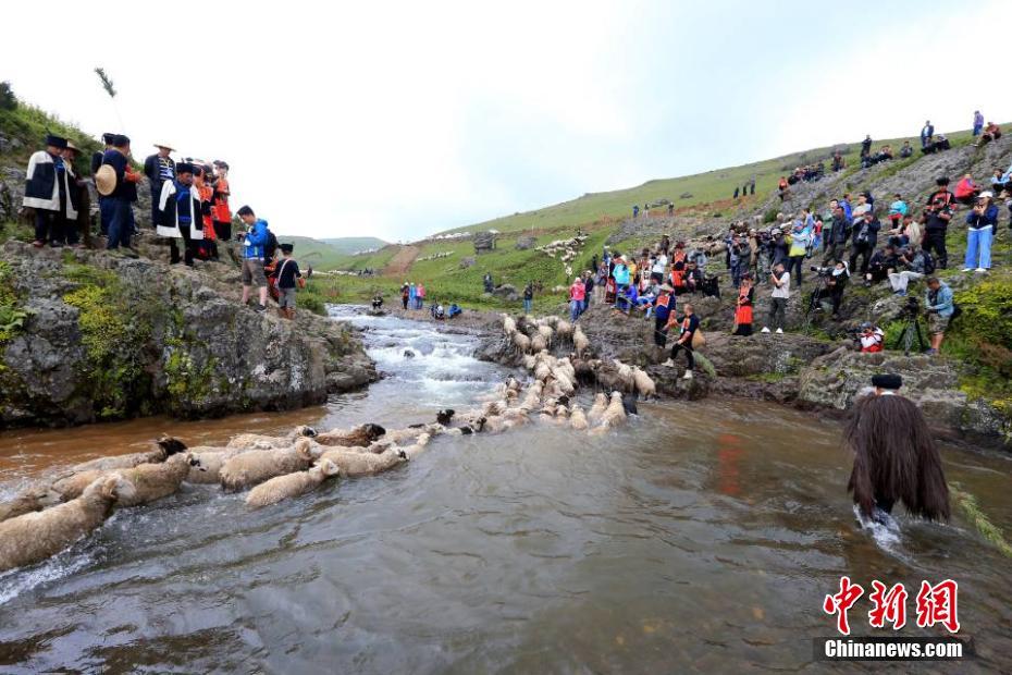 降碳增效双轮驱动 联美控股上半年净利润增近1成