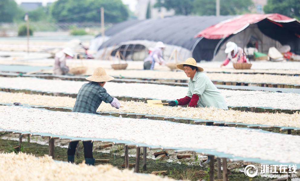上海7月二手房成交量稳了，但挂牌总量偏高，“大多数房源都能再砍一点价”