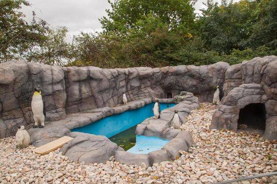 索通发展前:三季度实现净利润10.92亿元，同比增长165.99%